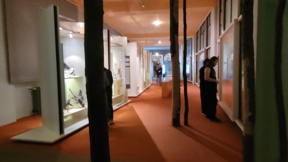 Výstava v SNM ukáže vzácne archeologické nálezy z územia celého Bulharska