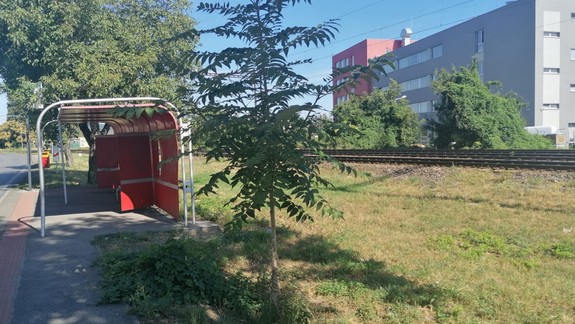 Prekliate miesto: Na vlakovej trati pri Ivanskej ceste došlo k ďalšej tragédii, o život prišla seniorka