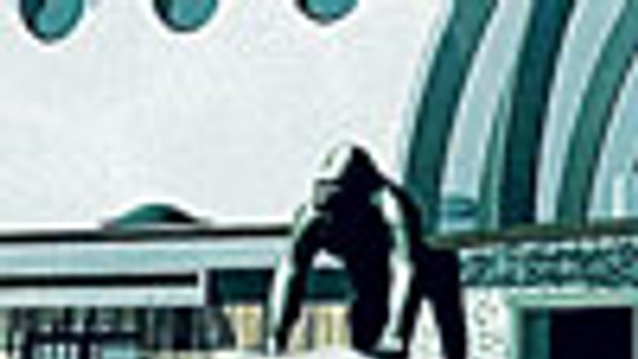 Pavilón pre primáty dokončia v decembri 2009