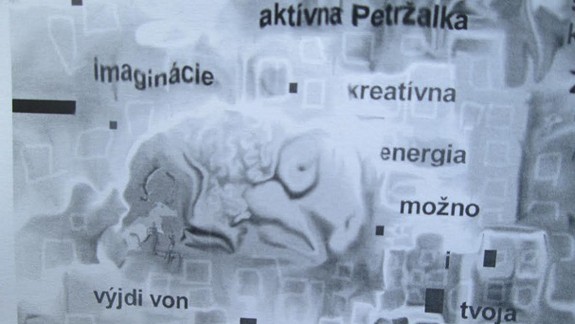 Ako môže Petržalku skrášliť odpad? 