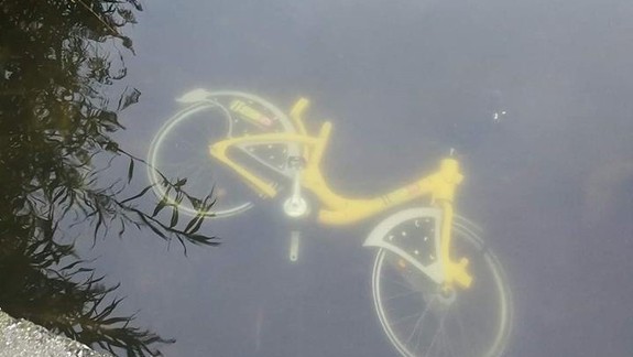 FOTO Ďalšie prípady vandalizmu Slovnaft BAjku: Žltý bicykel utopený v Chorvátskom ramene!
