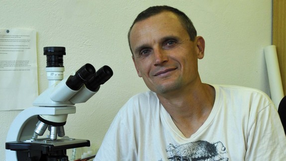 Kalamita komárov:  Odborník prezrádza zaujímavosti, ktoré ste asi nevedeli