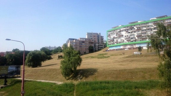 Utrpenie alergikov: Jednou z príčin je aj nepravidelné kosenie