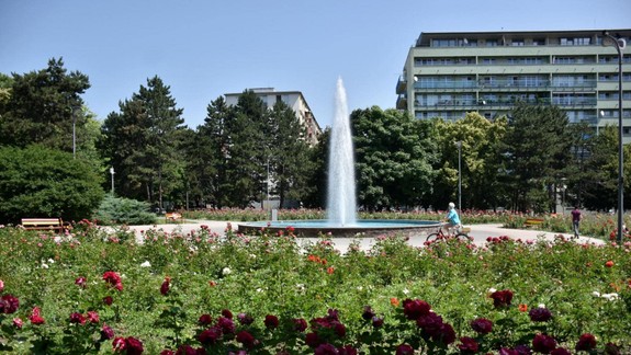 Ruže nahradia iné rastliny: Revitalizácia Račianskeho mýta prinesie aj zmeny v sadových úpravách