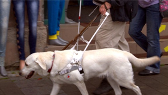 Vodiaci pes môže vyrásť aj vašou zásluhou