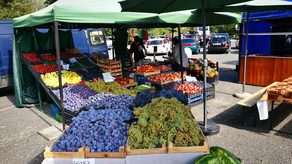 FOTO: Takto to vyzerá na vinobraní v Devíne. Neprídete?