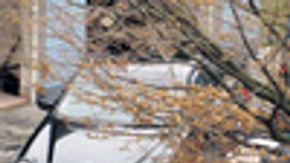 Auto umýval v domove, prišiel o peniaze