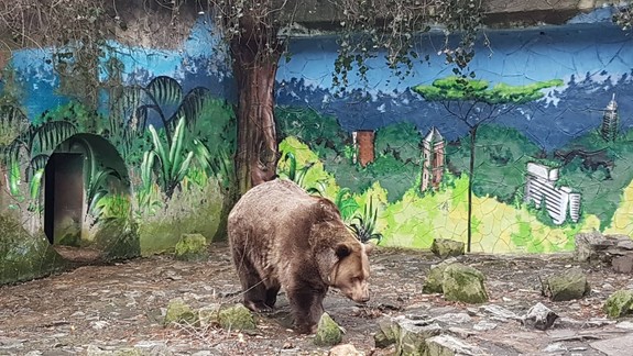 FOTO a VIDEO: Vyskúšali sme. Oplatí sa navštíviť ZOO vo februári?