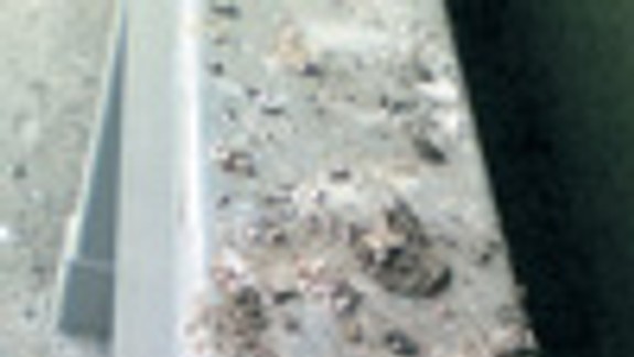 Trusu na moste chcú zabrániť flexibilnými páskami