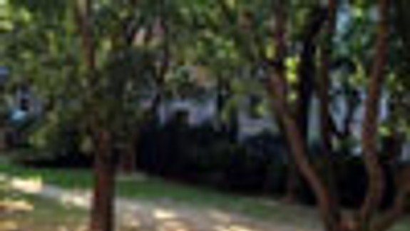 Na Jakubovom námestí obnovia zanedbaný park