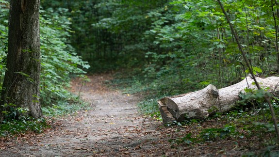 V Horskom parku ožili strašidlá