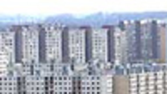 V Petržalke pribudnú koše na psie exkrementy