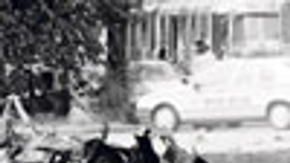 Mafia v hlavnom meste (1989-1999) I.