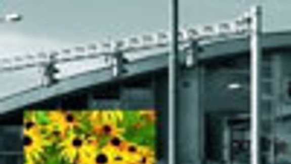 Bratislavčania by mali asi chodiť na kurzy