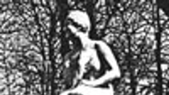 Sochu Oľgy Trebitschovej chcú v Sade J. Kráľa