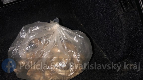 Zaujímavá kombinácia - v tele kokaín, v aute lysohlávky