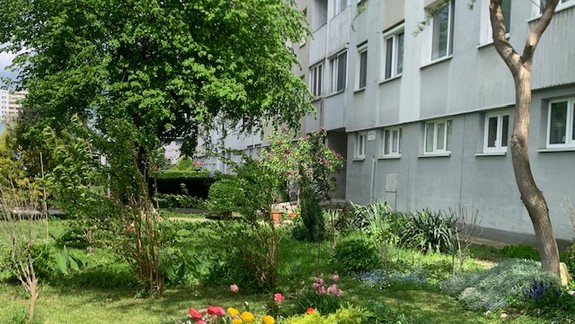 Môžete vyhrať aj tisíc eur: Hlavné mesto vyhlásilo prvé celomestské majstrovstvá v predzáhradkárčení