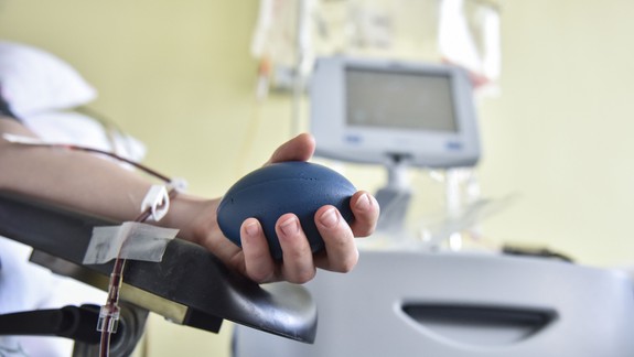 UNB oslavuje 25. výročie transplantácií kostnej drene, počet jej darcov stúpol