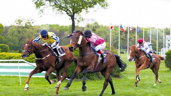 Cenu Bratislavských novín vyhral hnedák Vive Paolo