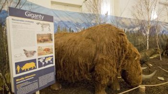 FOTO: Výstava Giganty ľadovej doby je už prístupná verejnosti