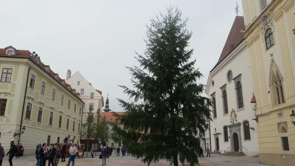 FOTO: Na Hlavnom námestí už osadili vianočný stromček!