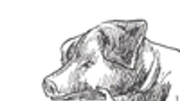 Čierny humor v Poľskom inštitúte 