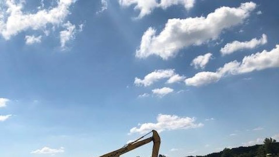 Revitalizácia Biskupického ramena zlepší stav vegetácie