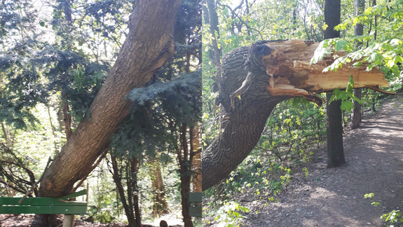 OZ Hrad-Slavín: Bezpečnostná situácia v Horskom parku je neúnosná, nesúhlasíme s magistrátom