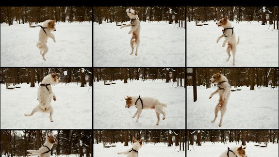 Výstava v SNG predstaví fotografiu v súčasnom slovenskom umení