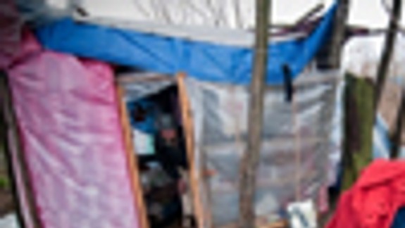 Bezdomovci do útulkov nechcú ani v mraze