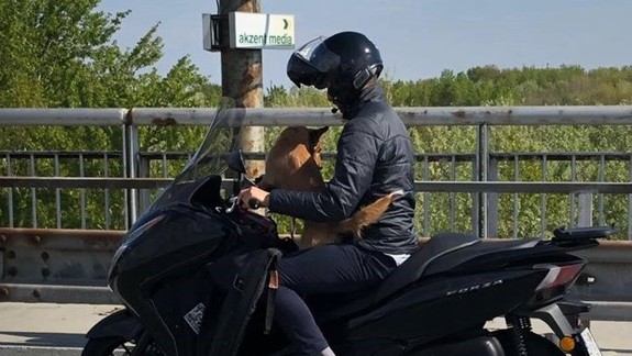 FOTO: Pes sa viezol po obchvate na motorke, ale musel presadnúť do policajného auta!