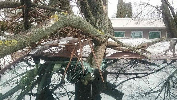 Vietor: V Bratislavskom kraji zasahovali hasiči už 72-krát