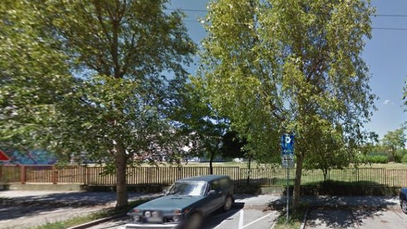 VIDEO: V Devínskej vyrúbali 20-ročné stromy a ľudia nechápu prečo...