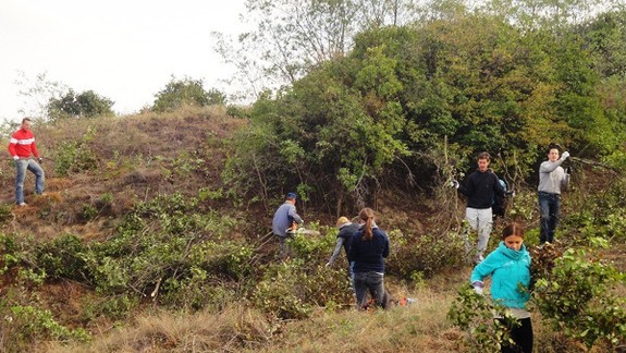 Prírodná rezervácia Devínska Kobyla sa bude v sobotu čistiť