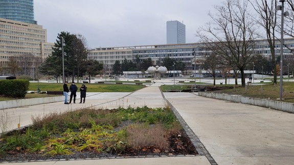 Na obľúbených miestach! Vedci našli v Bratislave hubu, ktorá je nebezpečná aj pre ľudí