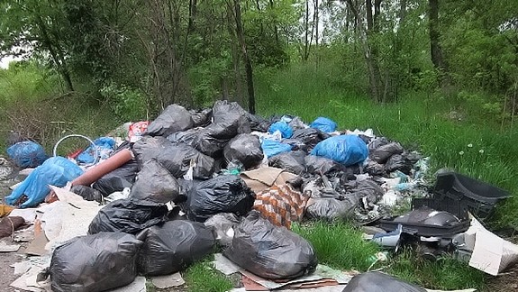 Rača zriadila zelenú linku