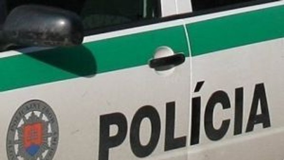 Zlodejom z Mlynskej doliny hrozí až 12-ročný trest odňatia slobody