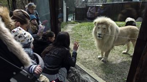 ZOO odštartovala sezónu, na návštevníkov čaká asi 900 zvierat
