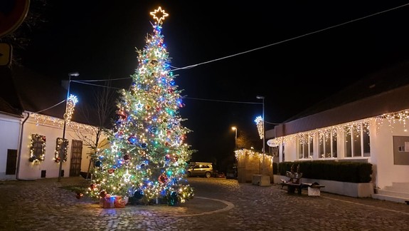 Konzílium odborníkov: Čakajú nás čierne Vianoce, dodržujte tieto zásady