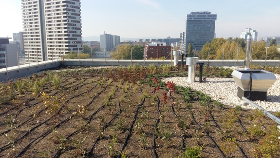Bratislava je medzi mestami, ktoré sa pousilujú byť klimaticky neutrálne do 2030
