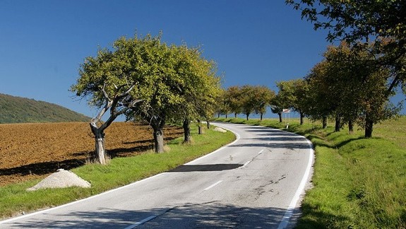 Viete o tom, že župa nelikviduje burinu pri cestách chemikáliami?