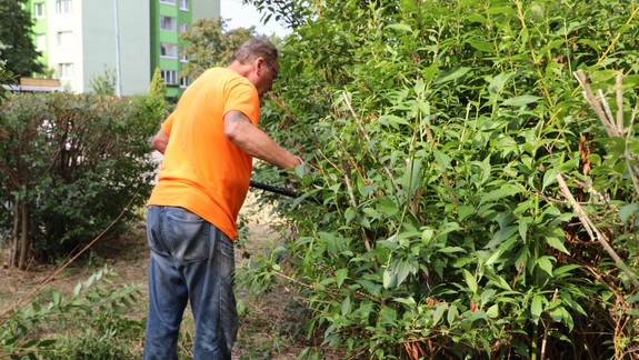 Miestny podnik VPS v Petržalke nezabúda na letnú údržbu