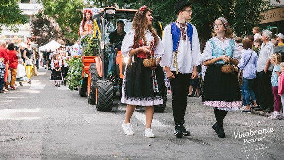 Tip na víkend: V Pezinku sa koná tradičné vinobranie, ponúka bohatý program