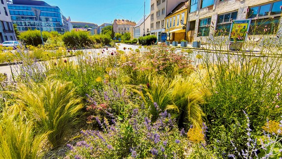 Všimli ste si zmenu k lepšiemu? Ostrovčeky pri cestách hrajú všetkými farbami