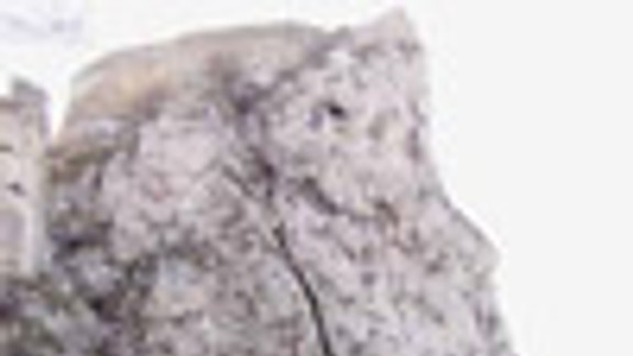 Devínske bralo pred zimou zabezpečia