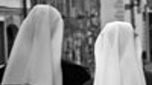 Mníšky vyzerali ako rad čajok s peruťami