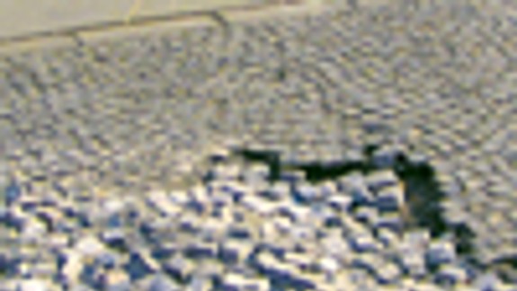 Kocky neničia autá, ale najmä nekvalitná práca