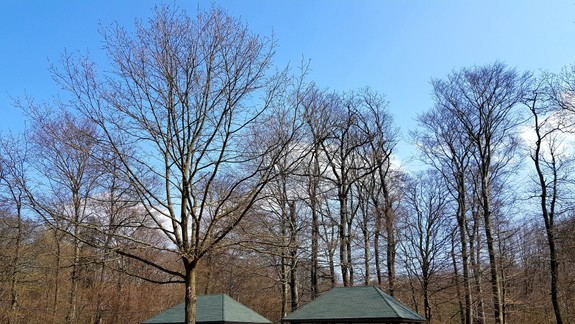 Mestské lesy: Kamzík je zanedbávaný areál, chceme to napraviť