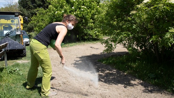 V Petržalke pribudnú lúky. Prvú budujú pri Veľkom Draždiaku