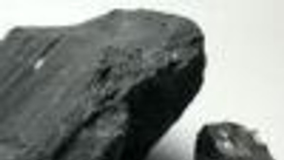 Spod vagóna sa ozvalo zborové „Ďakujeme!“